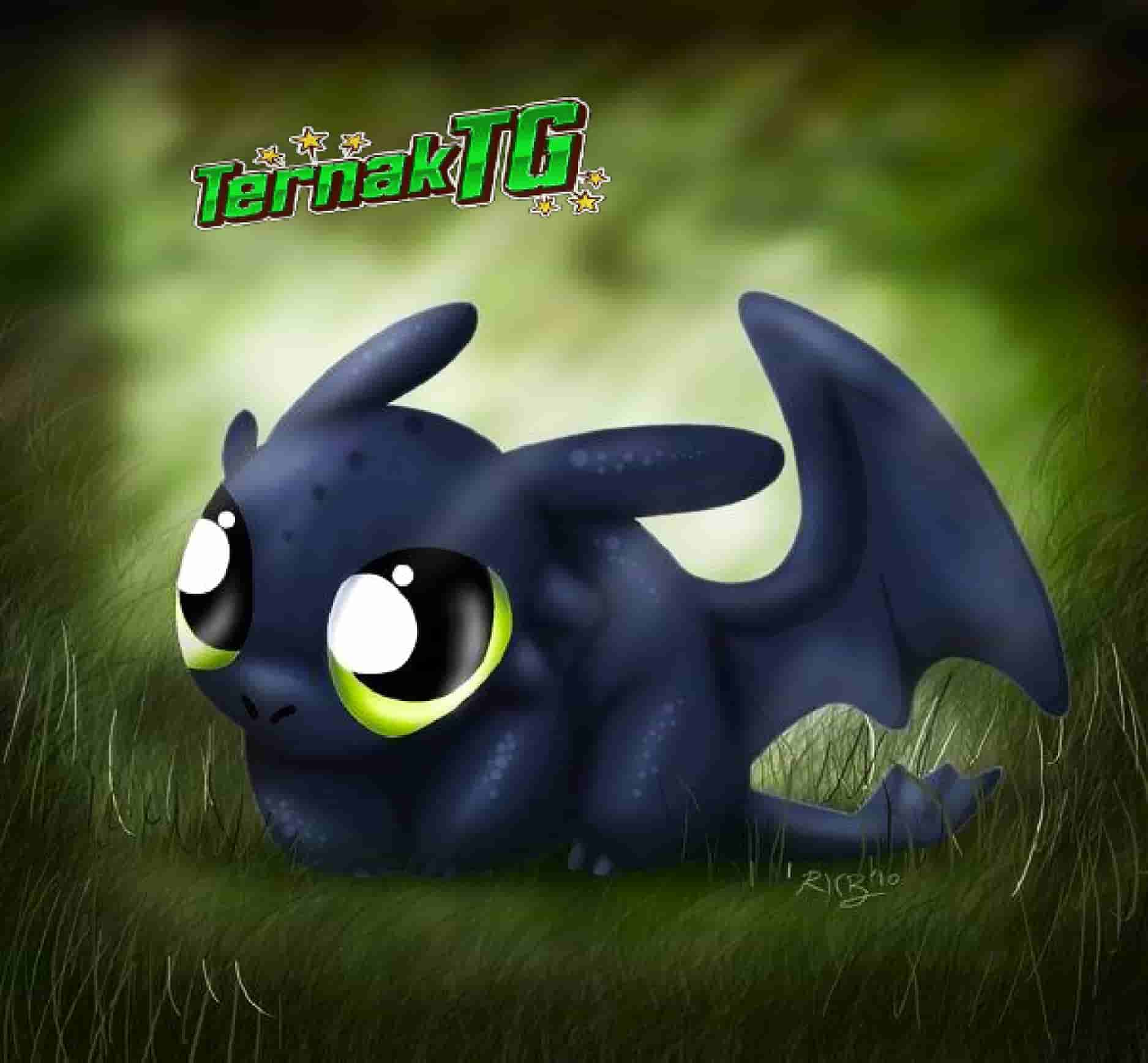 TernakTG Link Toto Slot Gacor Hari Ini Slot Bet Kecil Pecah Scatter Hitam x500